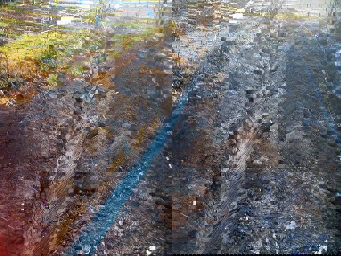 Střední škola F. D. Roosevelta v Brně